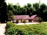 Công Ty Cổ Phần Phát Triển Thương Mại & Du Lịch Tầm Nhìn Việt Nam