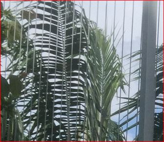 Công Ty Cổ Phần Đầu Tư Và Phát Triển Nội Thất Hòa Phát