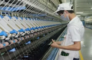 Nhân Lực Hoa Anh Đào – Công Ty TNHH Đào Tạo & Phát Triển Nhân Lực Hoa Anh Đào