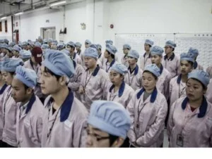 Cung ứng Lao Động Việt – Công Ty TNHH Cung ứng LADOVI