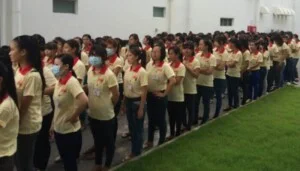 Công Ty TNHH Thanh Niên X.P