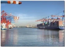 Công Ty TNHH Thương Mại Dịch Vụ Vận Tải Hoa Phương Nam