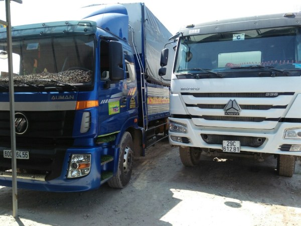 Vận Tải Hoàng Phi Vi Na – Công Ty TNHH Hoàng Phi Vi Na