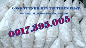 Cát Trị Thiên Phát – Công Ty TNHH Một Thành Viên Trị Thiên Phát