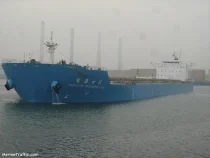 Công Ty TNHH Thương Mại Dịch Vụ Vận Tải Hoa Phương Nam