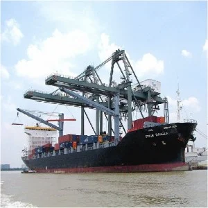 Logistics Nguyên Trân – Công Ty TNHH Thương Mại Dịch Vụ Logistics Nguyên Trân