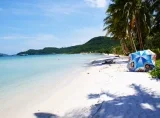 Công Ty Cổ Phần Phát Triển Thương Mại & Du Lịch Tầm Nhìn Việt Nam