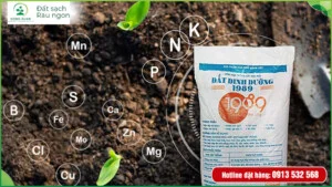 Đất Nông Nghiệp Dinh Dưỡng KNK Green – Công Ty Cổ Phần Thương Mại KNK Việt Nam