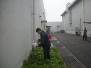 Công Ty Cổ Phần Công Nghệ Sinh Học Thông Minh