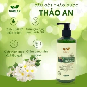 Công Ty TNHH Thương Mại Thảo An Phát