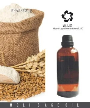 Công Ty Cổ Phần Quốc Tế ánh Trăng