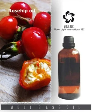 Công Ty Cổ Phần Quốc Tế ánh Trăng