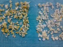 Cơ Sở Sản Xuất Nhựa Thái Bình