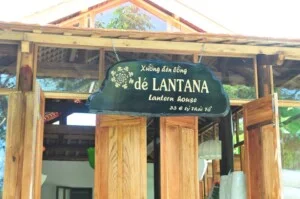 Đèn Lantana – Công Ty TNHH Dịch Vụ Hoa Nam
