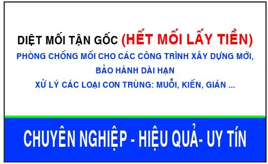 Công Ty TNHH MTV Trừ Mỗi Và Côn Trùng Bảo Tín