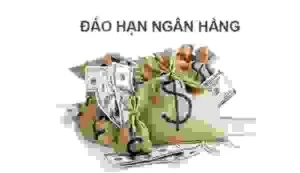 Tài Chính Profast – Công Ty TNHH Thiết Kế Website Profast