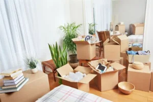 Vệ Sinh Công Nghiệp Thanh Trúc – Công Ty TNHH DV & TM Thanh Trúc