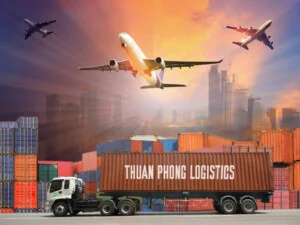Xuất Nhập Khẩu Thuận Phong – Công Ty TNHH Thương Mại Dịch Vụ Xuất Nhập Khẩu Thuận Phong