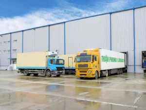 Xuất Nhập Khẩu Thuận Phong – Công Ty TNHH Thương Mại Dịch Vụ Xuất Nhập Khẩu Thuận Phong