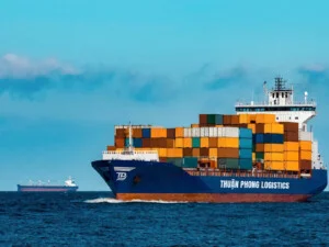 Xuất Nhập Khẩu Thuận Phong – Công Ty TNHH Thương Mại Dịch Vụ Xuất Nhập Khẩu Thuận Phong