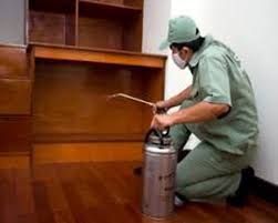 Diệt Mối Dũng Anh – Công Ty TNHH Đầu Tư Thương Mại Dịch Vụ Dũng Anh
