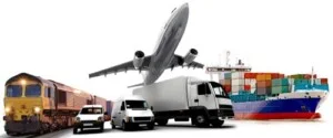 Công Ty TNHH Logistics Và Đại Lý Hải Quan Việt Nam
