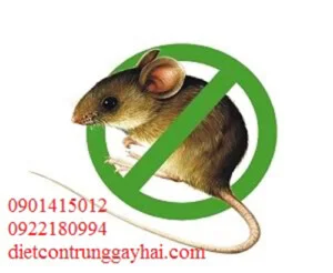 Việt Thành Pest Control – Công Ty TNHH Thương Mại Dịch Vụ Kiểm Soát Côn Trùng Việt Thành