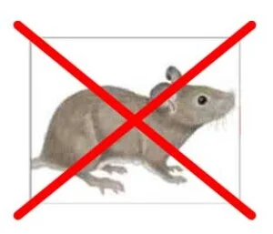 Công Ty TNHH Thông Tin Đất Việt