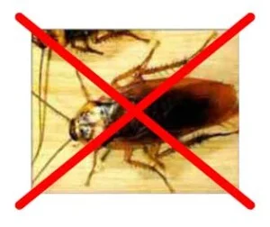 Công Ty TNHH Thông Tin Đất Việt