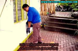 Việt Thành Pest Control – Công Ty TNHH Thương Mại Dịch Vụ Kiểm Soát Côn Trùng Việt Thành