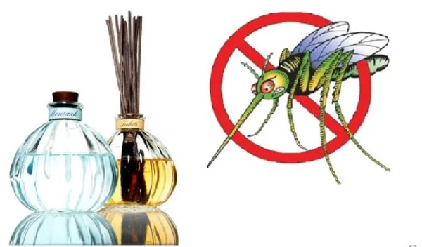 Văn Phòng Đại Diện Công Ty Cổ Phần ứng Dụng Công Nghệ Phòng Chống Ẩn Họa Long Quân