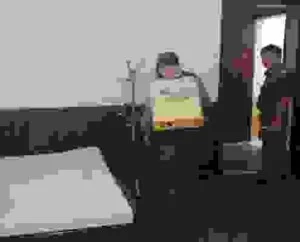 Công Ty TNHH Trừ Mối Đại Việt