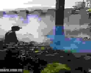 Công Ty TNHH Trừ Mối Đại Việt