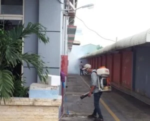 Công Ty TNHH Trừ Mối Đại Việt