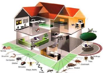 Trừ Mối Khử Trùng Hải Lâm – Công Ty Cổ Phần Chống Mối Khử Trùng Hải Lâm