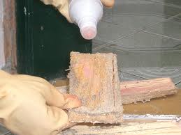 Trừ Mối Khử Trùng Hải Lâm – Công Ty Cổ Phần Chống Mối Khử Trùng Hải Lâm