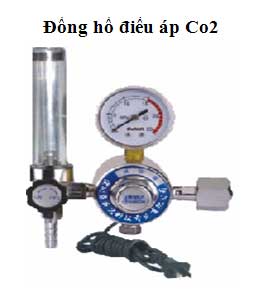 Công Ty TNHH C.T Trung Việt