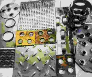 Công Ty TNHH Công Nghệ Mới Nguyễn Vinh