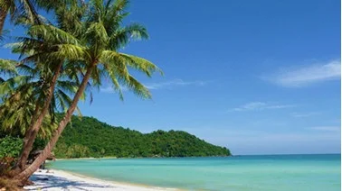Công Ty TNHH Thương Mại Dịch Vụ Du Lịch Việt Nhân