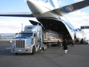 Logistics Trí Việt – Công Ty TNHH Thương Mại Dịch Vụ Xuất Nhập Khẩu Trí Việt