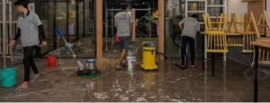 Kế Toán Thuế Bảo Ngọc – Công Ty TNHH Dịch Vụ Kế Toán Bảo Ngọc