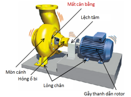 Cân Bằng Động DB – Công Ty TNHH DB