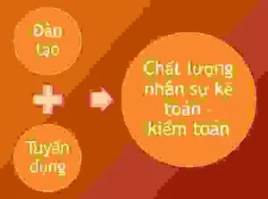 Hãng Kiểm Toán AVF – Công Ty TNHH Hãng Kiểm Toán Và Thẩm Định Giá AVF