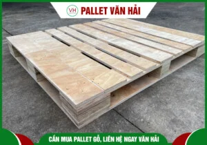 Chi Nhánh Cần Thơ – Công Ty TNHH Một Thành Viên Pallet Văn Hải