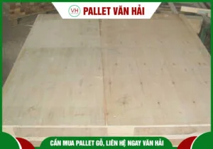 Chi Nhánh Cần Thơ – Công Ty TNHH Một Thành Viên Pallet Văn Hải