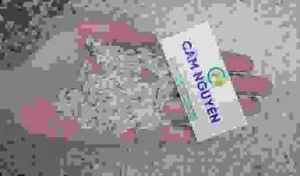 Lúa Gạo Cẩm Nguyên – Công TNHH MTV Kinh Doanh Và Xay Xát Lúa Gạo Cẩm Nguyên