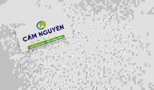 Lúa Gạo Cẩm Nguyên – Công TNHH MTV Kinh Doanh Và Xay Xát Lúa Gạo Cẩm Nguyên