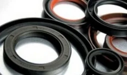Gioăng Cao Su RPS – Công Ty TNHH Sản Xuất Thương Mại Dịch Vụ RPS