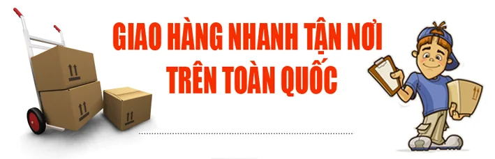 Vận Chuyển Hàng Hóa Thanh Nhã – Công Ty TNHH Thương Mại Dịch Vụ Vận Tải Và Chuyển Phát Nhanh Thanh Nhã