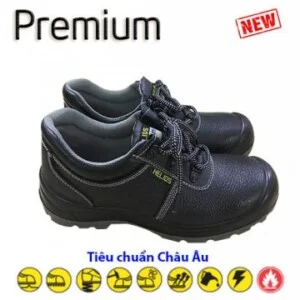 BHLĐ Phương Linh Bắc Giang – Công Ty TNHH Thương Mại Và Dịch Vụ PLS